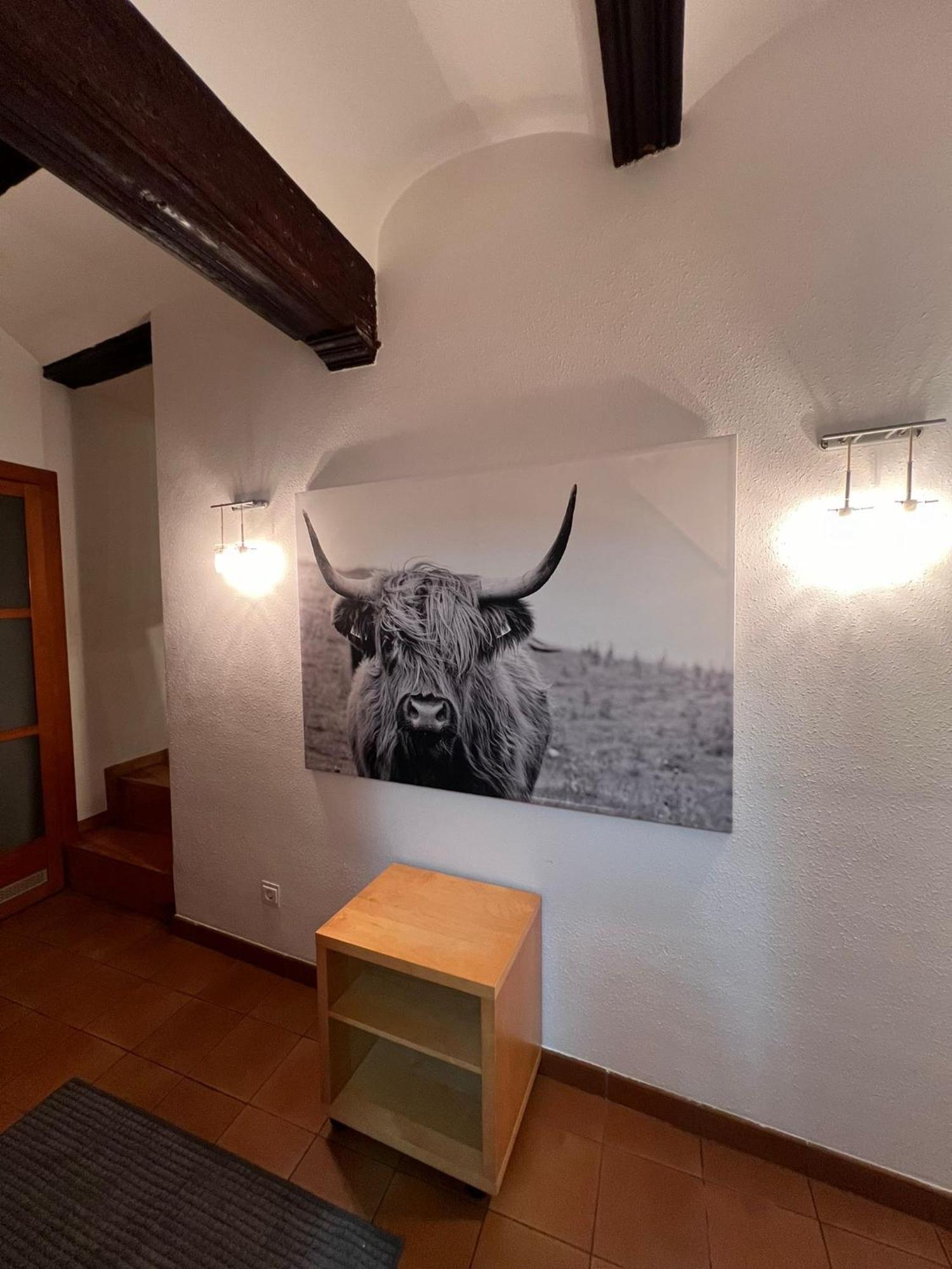 Encantador Apartamento En Estella-Lizarra Εξωτερικό φωτογραφία